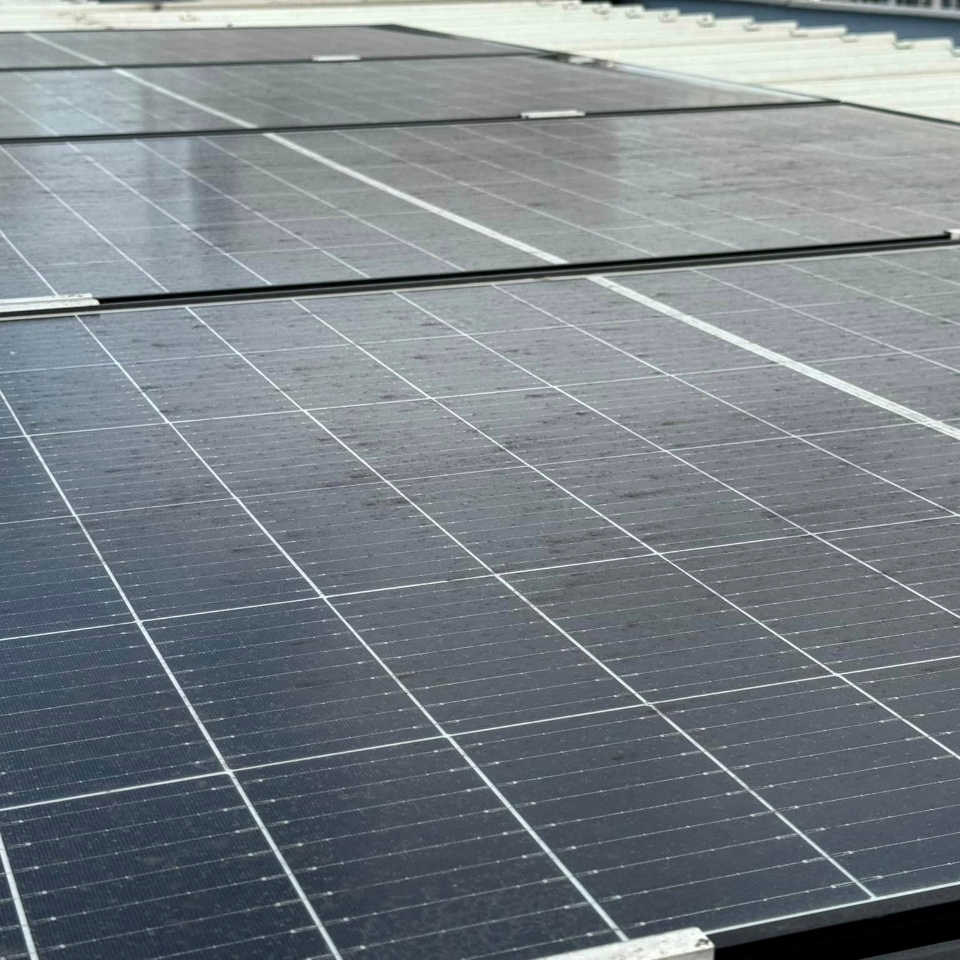 UNMACO e il Progetto We Greencare: Energia Pulita e Innovazione per il Futuro&nbsp;Sostenibile.